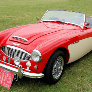 Austin-Healey 100